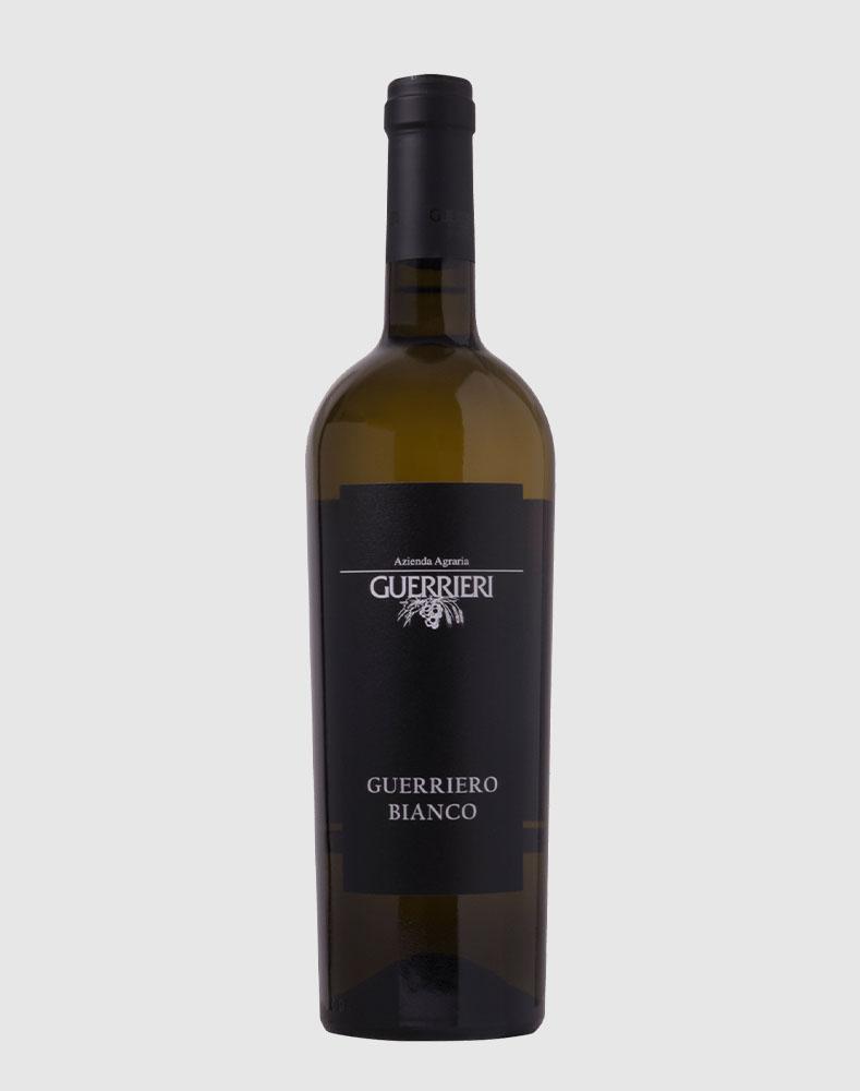 Guerriero Bianco Marche 2019