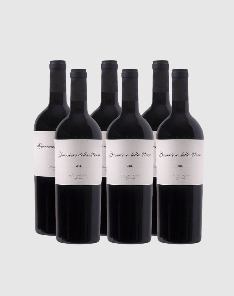 GUERRIERO DELLA TERRA 2019 WINE CASE (6 Bottles)