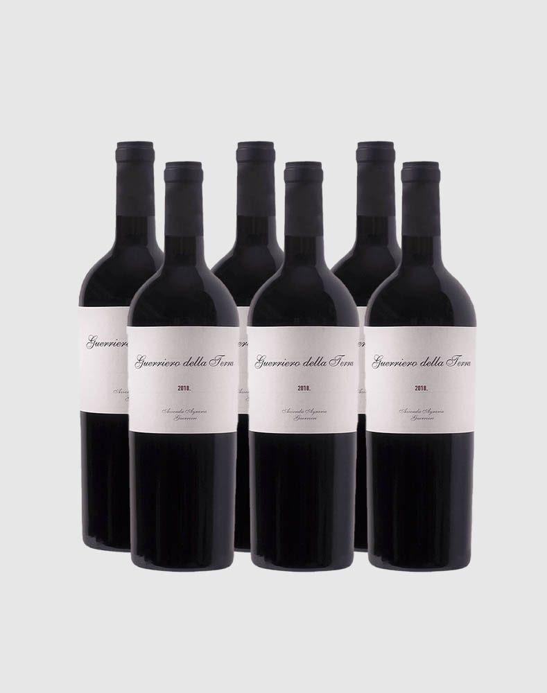 GUERRIERO DELLA TERRA 2020 WINE CASE (6 Bottles)