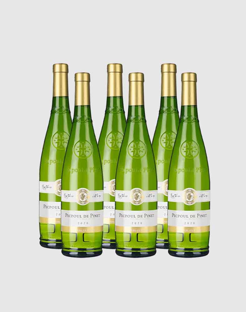 CHATEAU CANET PICPOUL DE PINET 2022 WINE CASE (6 Bottles)