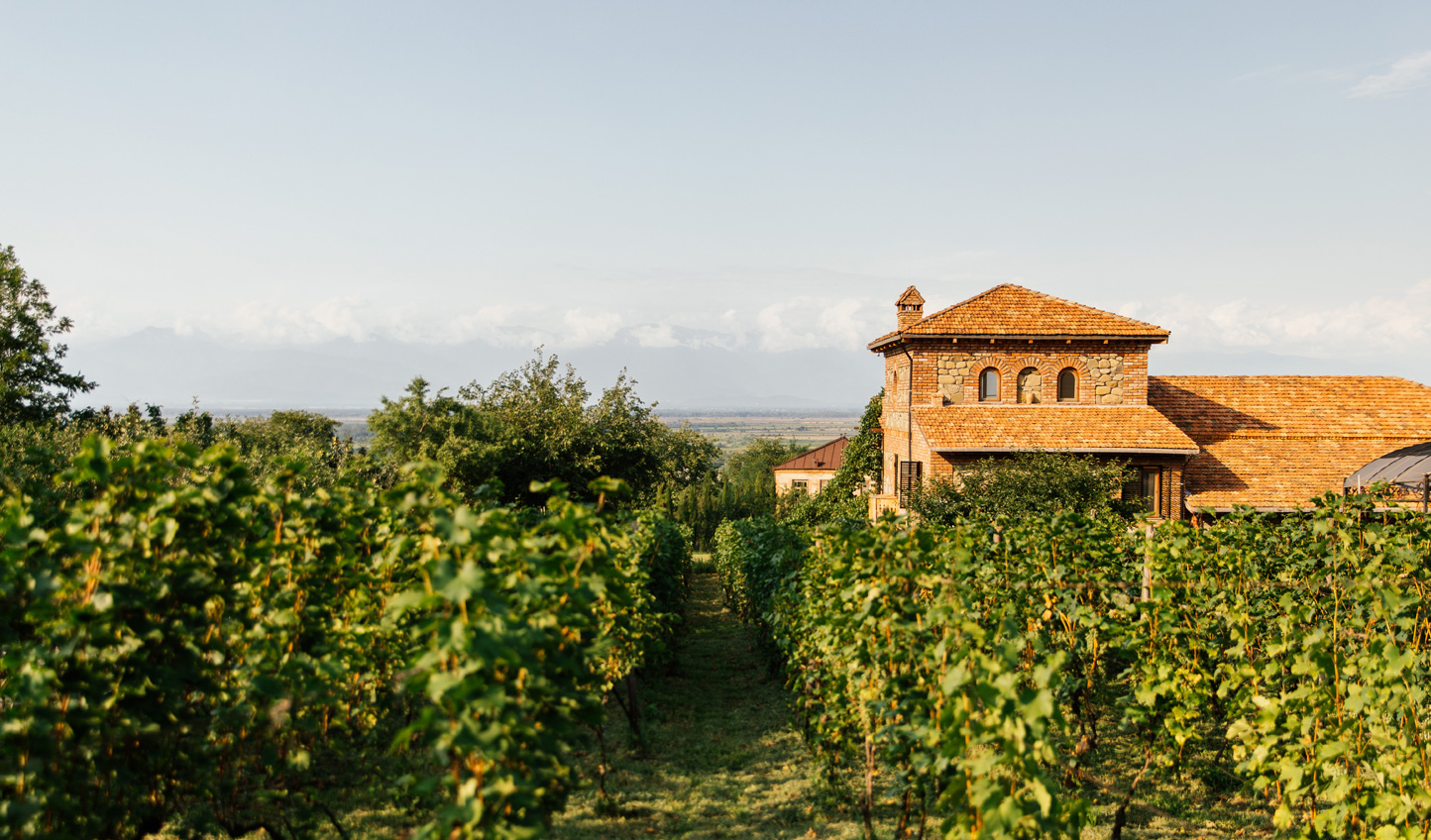 Chateau Svanidze